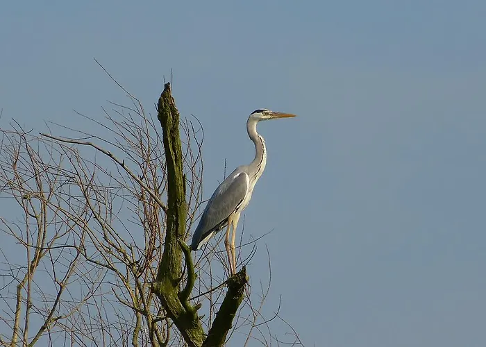 Lägenhet Grosse 85qm Havelberg